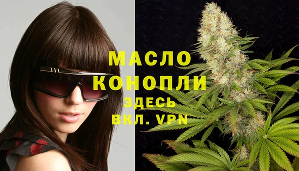 амф Бородино