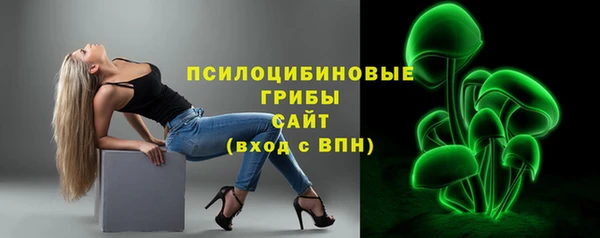 амф Бородино