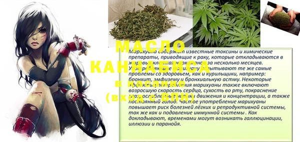 амф Бородино