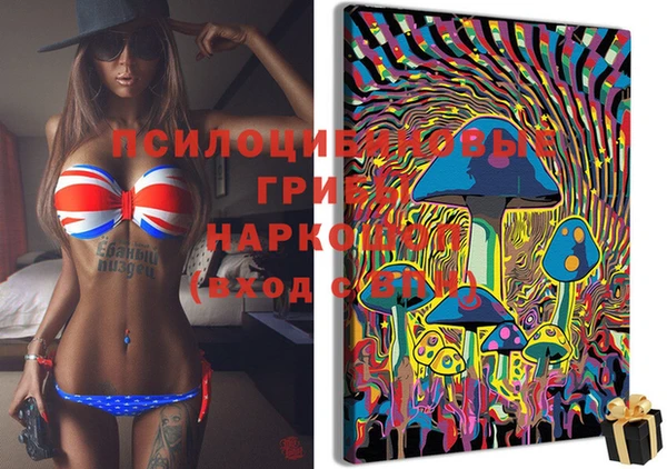 дмт Бугульма