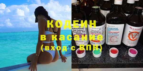 амф Бородино