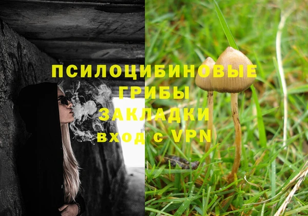 амф Бородино