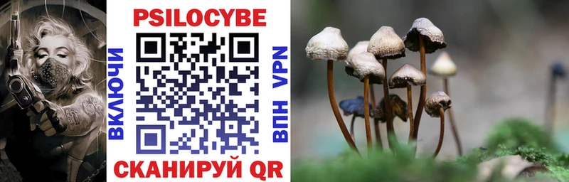 купить наркотик Благовещенск Галлюциногенные грибы прущие грибы